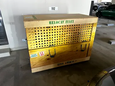 EXTRA-LARGE IATA-APPROVED AIRLINE DOG CRATE – CUSTOM MADE