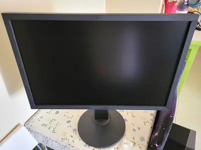 Eizo color edge CG2420 24" monitor
