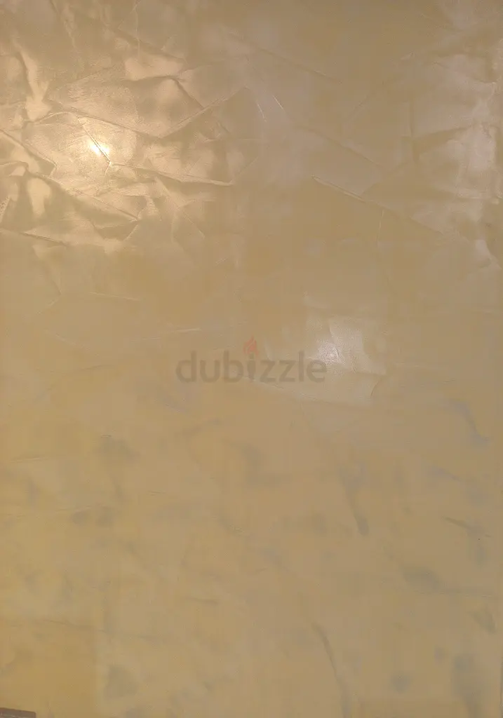 DPV_View_Image_1