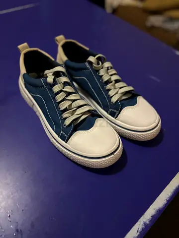 Shoe Sneaker