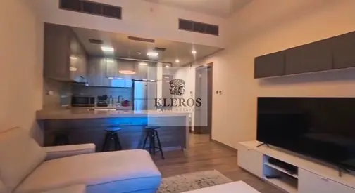 Beautiful | Fully Furnished | Brand New | Waterfront 1BR