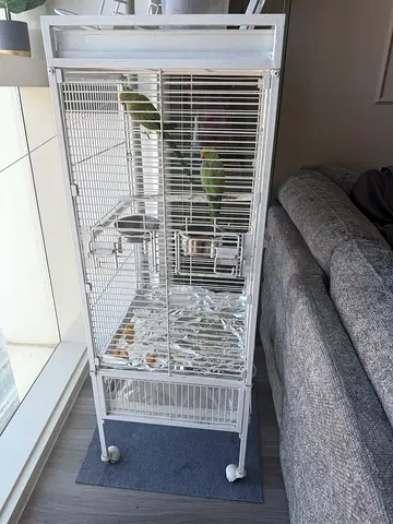 Bird cage
