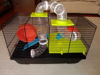 Hamster/gerbil cage
