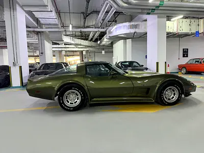 1979 Chevrolet CORVETTE 照片 7