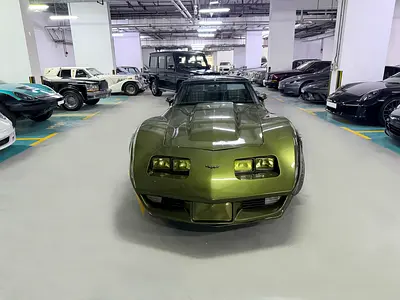 1979 Chevrolet CORVETTE 照片 10