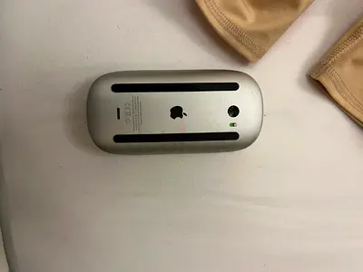 Magic Mouse lightning