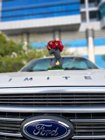 2019 FORD F-150 照片 13