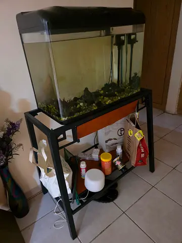 Aquarium tank with stand and accessories - ready setup