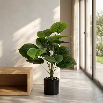 18 Leaves - Plain Monstera
