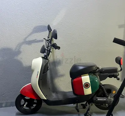 Electric scooter / e-bike with Italian flag design