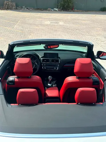 2015 BMW 2-SERIES 照片 16