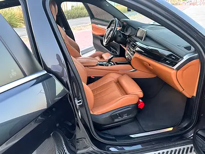 2019 BMW X6 缩略图 10
