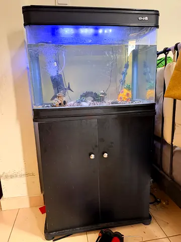 Urgent Sale - Fish Aquarium