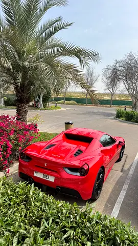 2019 Ferrari 488 SPIDER 照片 4
