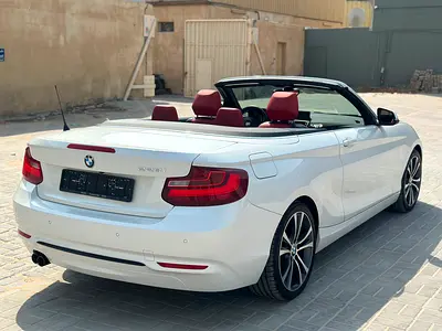 2015 BMW 2-SERIES 照片 3