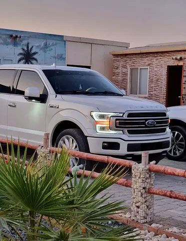 2019 FORD F-150 照片 3