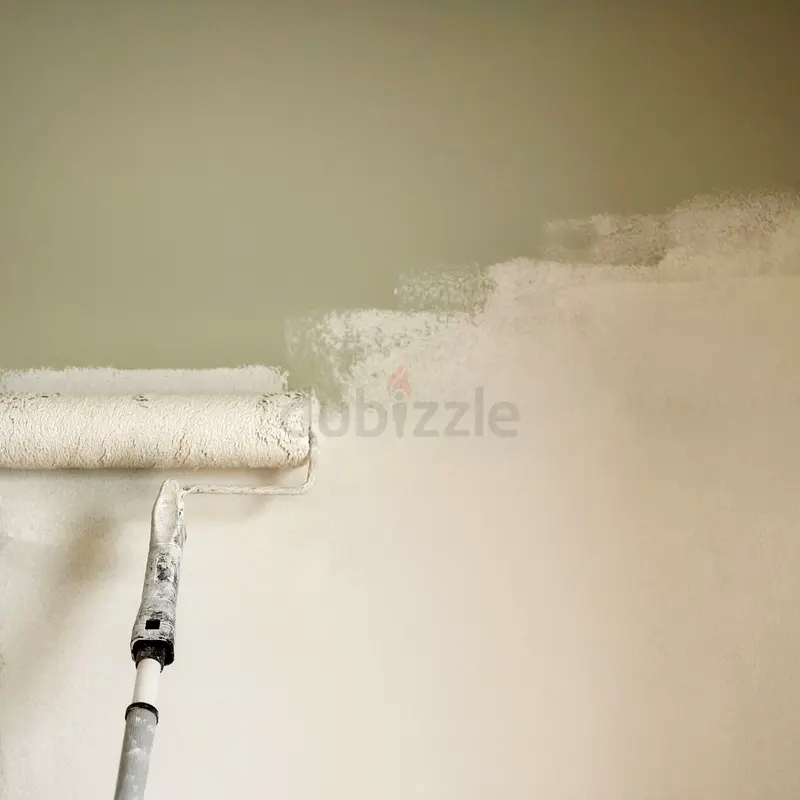 DPV_View_Image_5