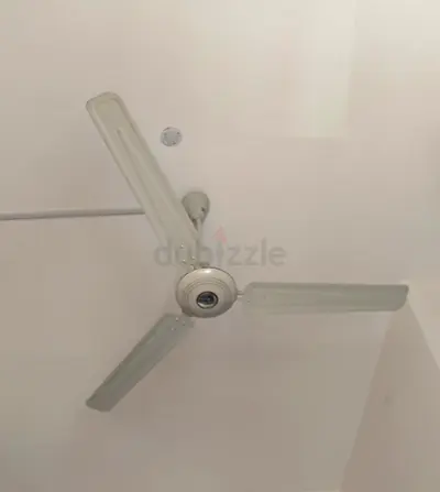 3-blade ceiling fan in good working condition - Best Brand USHA 2 pcs