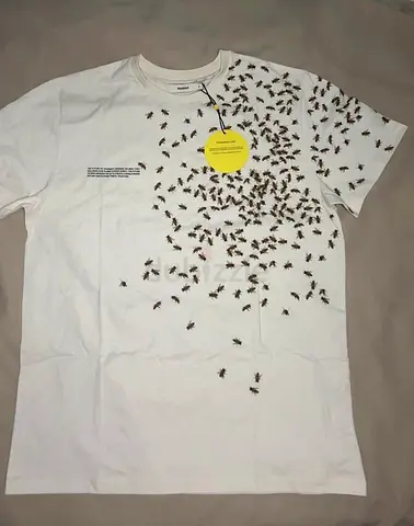 Brand new ORIGINAL PANGAIA beige T-shirt with bee print for adults(2 M & 1 L)