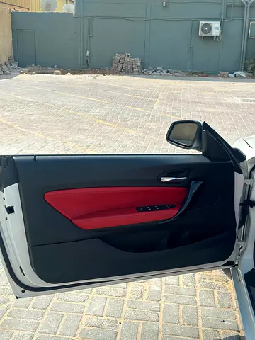 2015 BMW 2-SERIES 照片 14