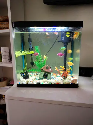 home aquarium with colorful fish and accessories