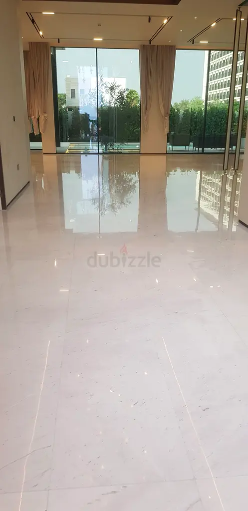DPV_View_Image_0