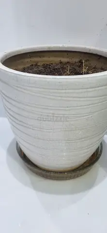 White Ceramic Plant Pot with Saucer - Medium Size