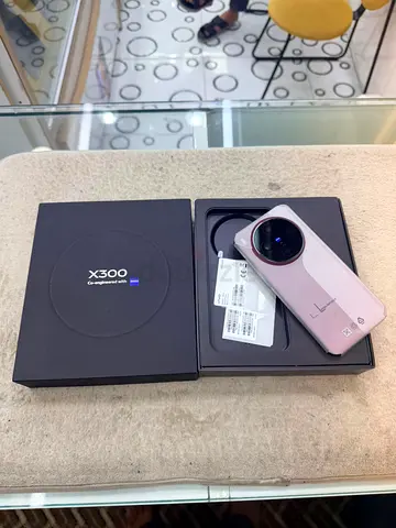 Vivo X300
