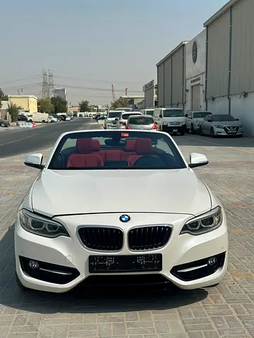 2015 BMW 2-SERIES 照片 11