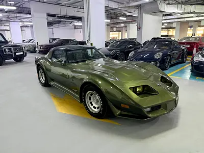 1979 Chevrolet CORVETTE 照片 8