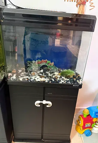 Aquarium(60x50) with stand