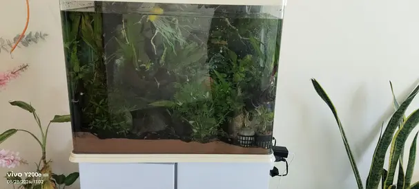 Aquarium for sale 350