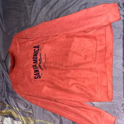 Sweater/crew neck/full sleeve shirt