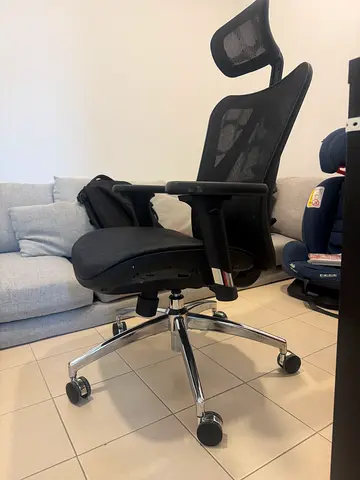 Ergonomic Mesh Office Chair with Headrest and Lumbar Support