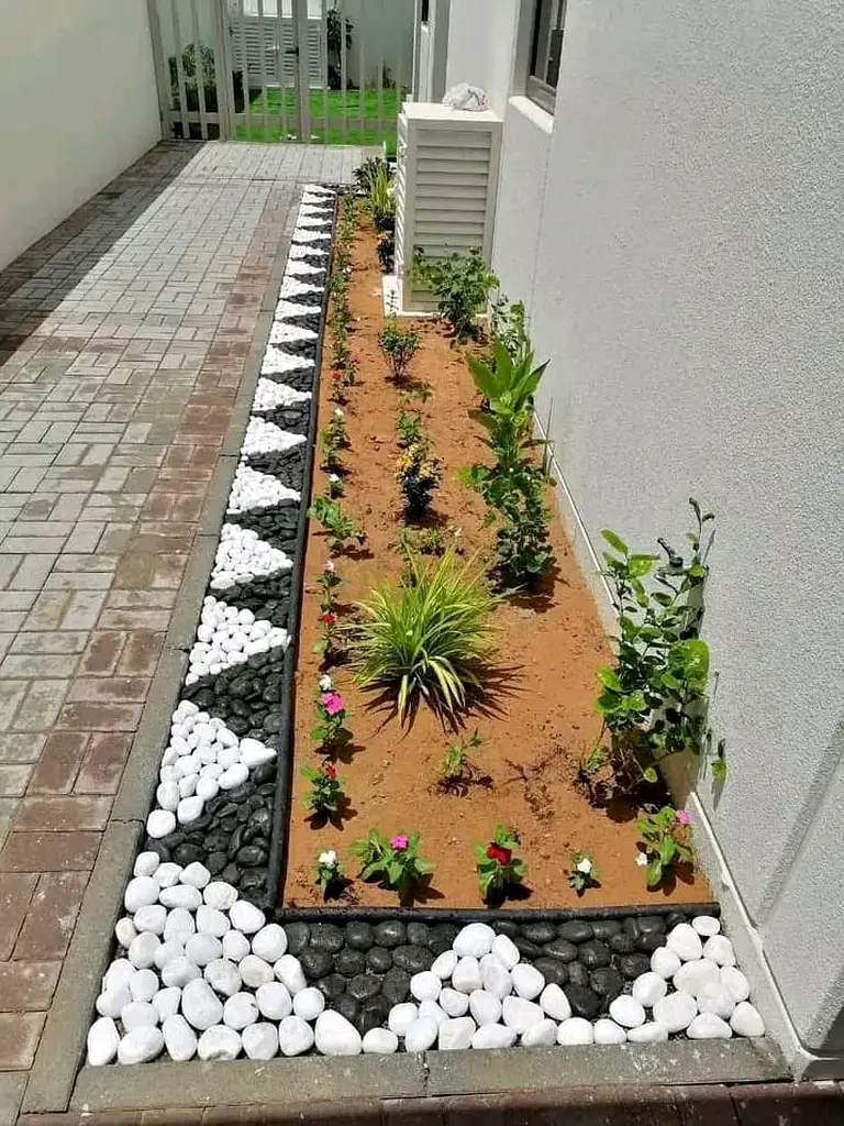 DPV_View_Image_0