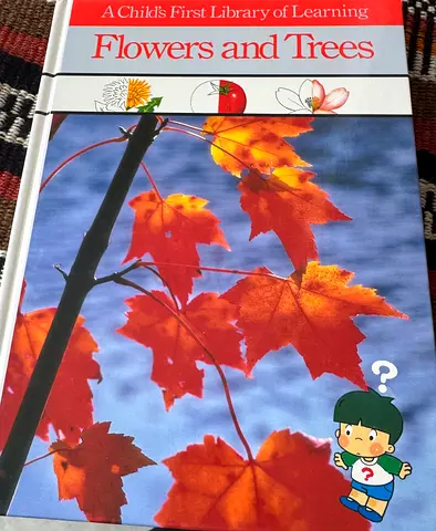 A Child’s First Library of Learning - full set of 24 books