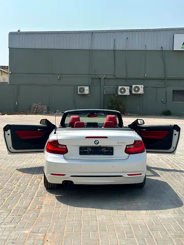 2015 BMW 2-SERIES 照片 6