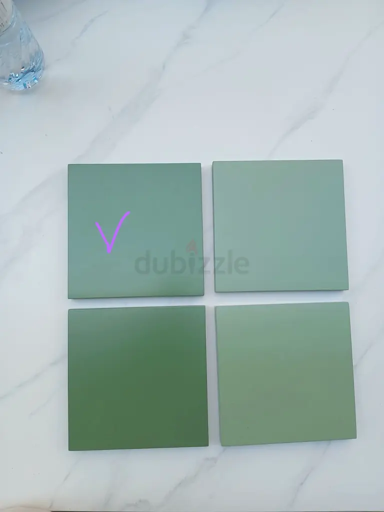 DPV_View_Image_7
