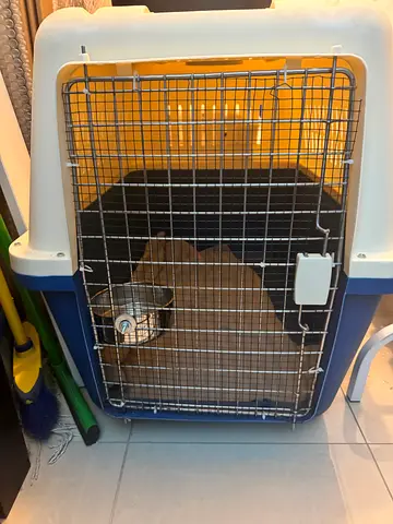 Dog carrier travel cage for air travel