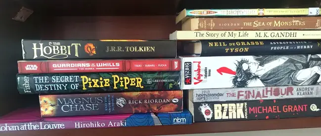 Multiple story books