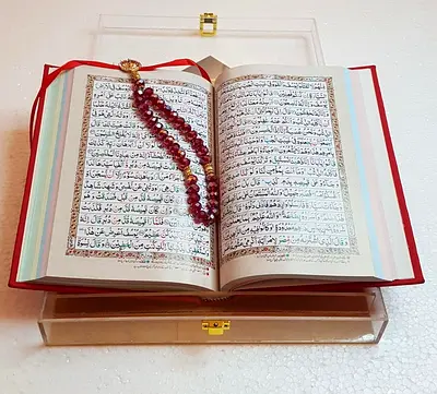 Best Online female Quran Qaria available for kids or yourself with proper timing