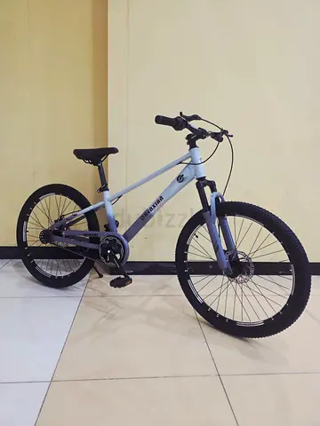 Mountain bicycle