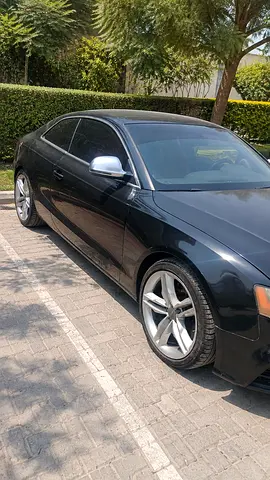 2009 AUDI S5 照片 4