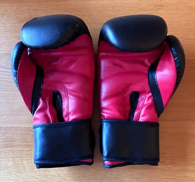 Pair of red and black 10oz boxing gloves