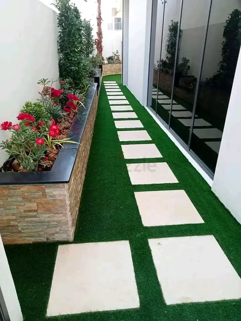 DPV_View_Image_1