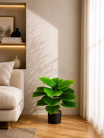 18 Leaves - Wavy Monstera