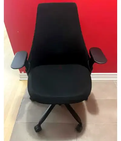 Herman Miller sayl chair