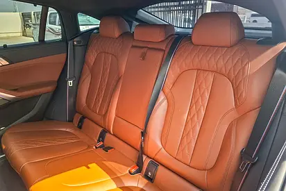 2024 BMW X6 缩略图 12