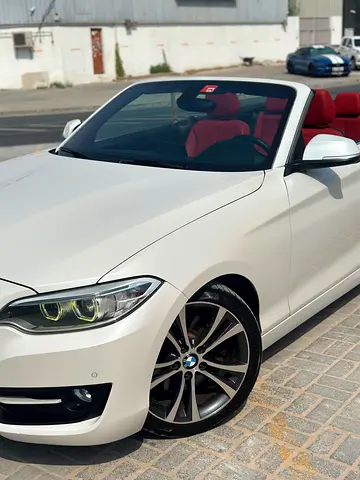 2015 BMW 2-SERIES 照片 2