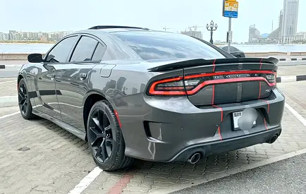 2019 Dodge CHARGER 照片 18